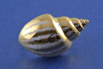Gilt Vintage Shell Scarf Ring