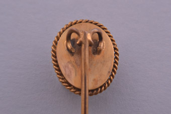 Edwardian Stick Pin