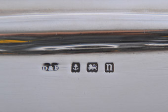 Silver Spectacle Case