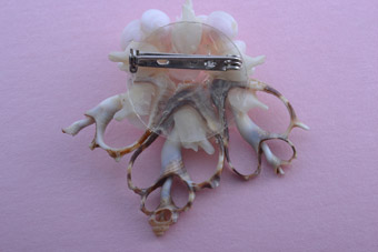 Shell Brooch