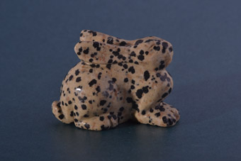 Dalmatian Jasper Rabbit