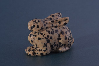 Dalmatian Jasper Rabbit