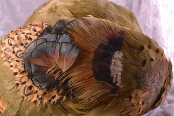 Vintage Hat With Feathers