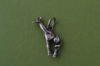 Silver Modern Charm