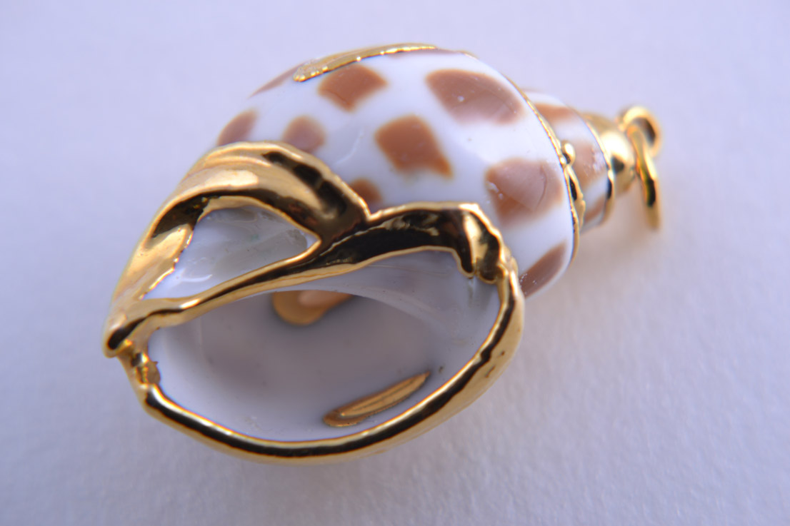 Shell And Gold Plated Pendant / Charm