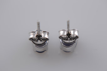 Silver Stud Earrings