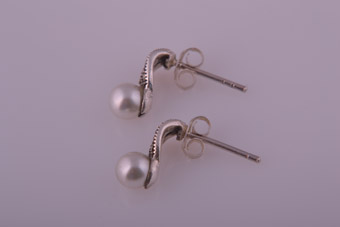 Silver Stud Earrings